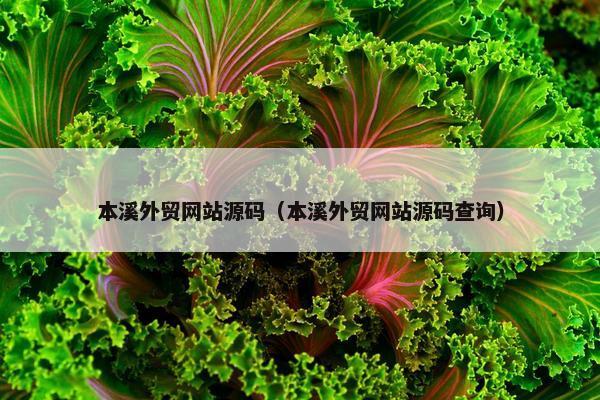 本溪外贸网站源码（本溪外贸网站源码查询）