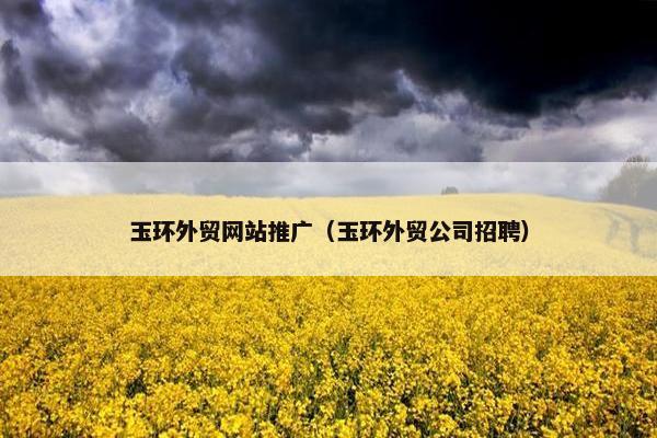 玉环外贸网站推广（玉环外贸公司招聘）