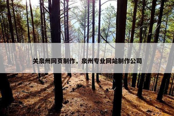 关泉州网页制作，泉州专业网站制作公司
