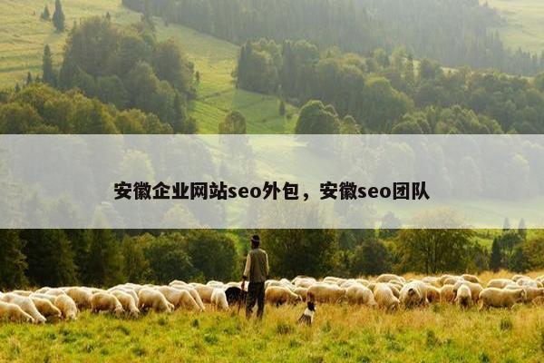 安徽企业网站seo外包，安徽seo团队