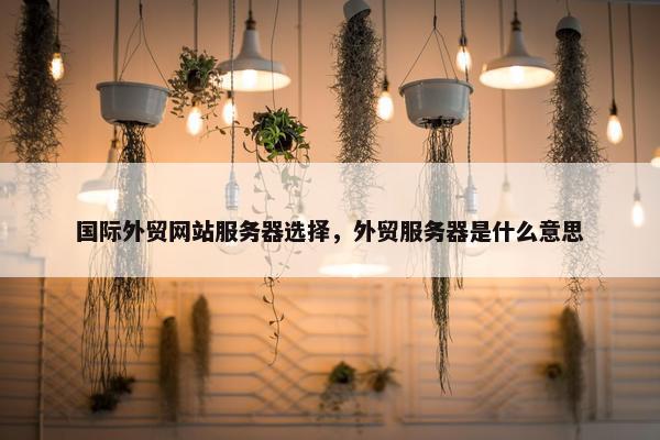 国际外贸网站服务器选择，外贸服务器是什么意思