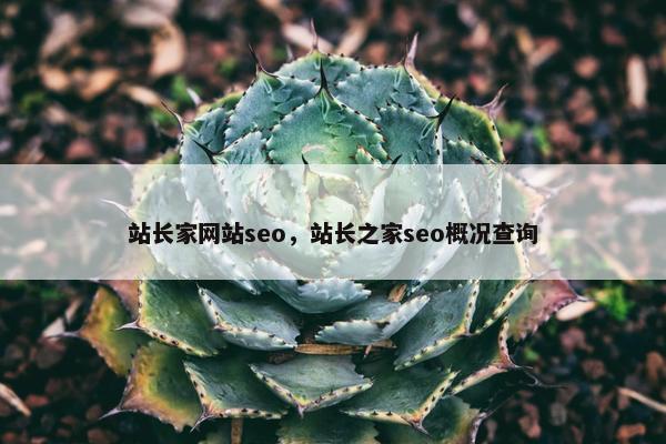 站长家网站seo，站长之家seo概况查询