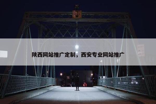 陕西网站推广定制，西安专业网站推广