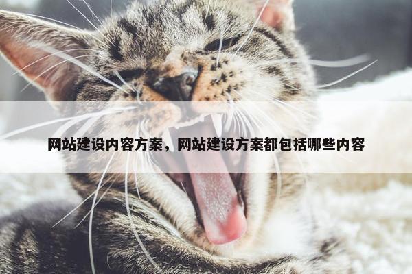 网站建设内容方案，网站建设方案都包括哪些内容