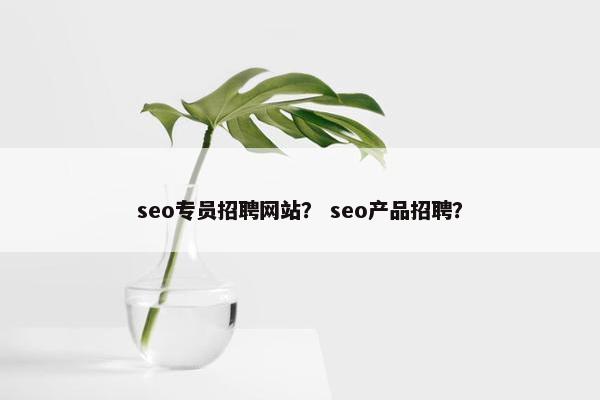 seo专员招聘网站？ seo产品招聘？