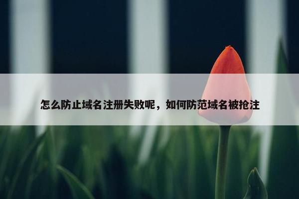 怎么防止域名注册失败呢，如何防范域名被抢注