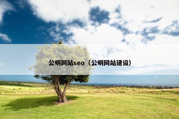 公明网站seo（公明网站建设）