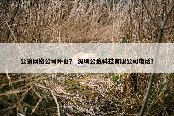 公狼网络公司坪山？ 深圳公狼科技有限公司电话？