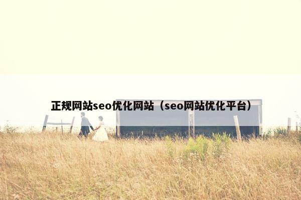 正规网站seo优化网站（seo网站优化平台）
