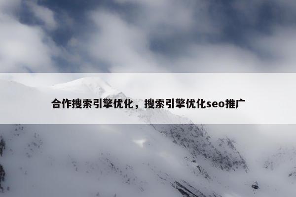 合作搜索引擎优化，搜索引擎优化seo推广