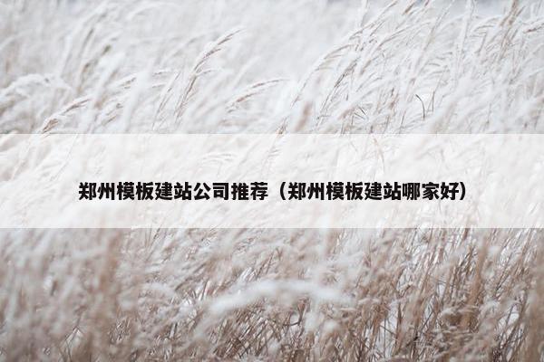 郑州模板建站公司推荐（郑州模板建站哪家好）