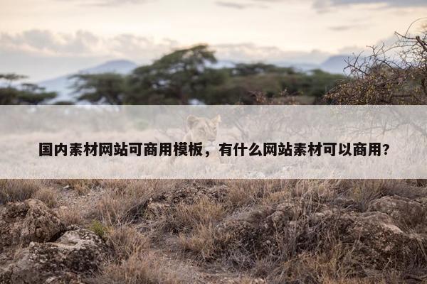 国内素材网站可商用模板，有什么网站素材可以商用?