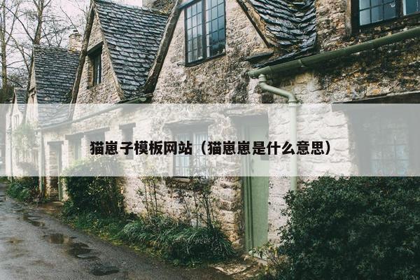 猫崽子模板网站（猫崽崽是什么意思）