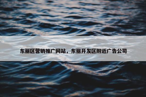 东丽区营销推广网站，东丽开发区附近广告公司