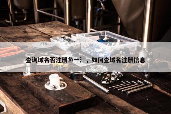 查询域名否注册鱼一氵，如何查域名注册信息