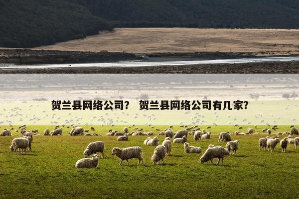 贺兰县网络公司？ 贺兰县网络公司有几家？