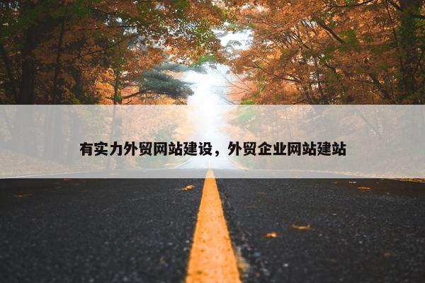 有实力外贸网站建设，外贸企业网站建站