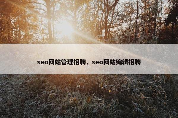 seo网站管理招聘，seo网站编辑招聘