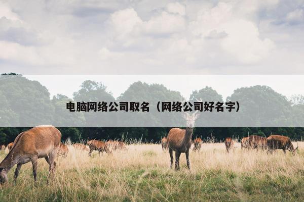 电脑网络公司取名（网络公司好名字）