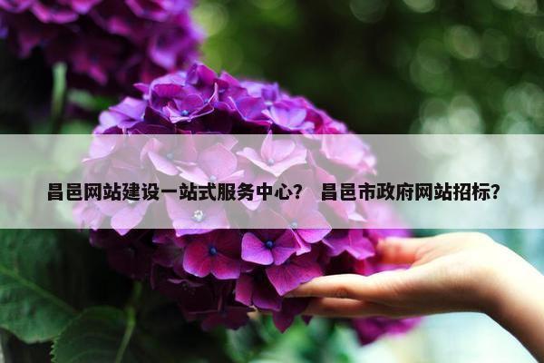 昌邑网站建设一站式服务中心？ 昌邑市政府网站招标？