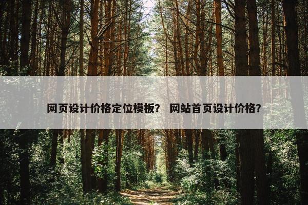网页设计价格定位模板？ 网站首页设计价格？