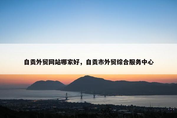 自贡外贸网站哪家好，自贡市外贸综合服务中心