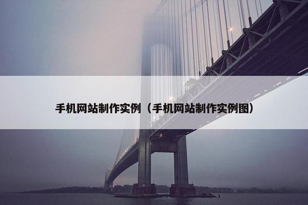 手机网站制作实例（手机网站制作实例图）