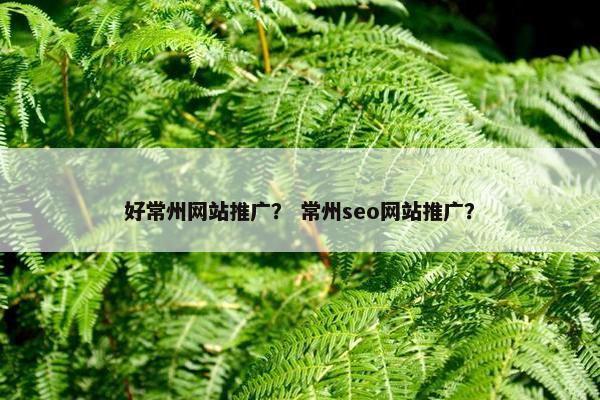 好常州网站推广？ 常州seo网站推广？