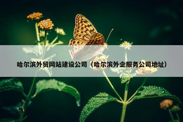 哈尔滨外贸网站建设公司（哈尔滨外企服务公司地址）