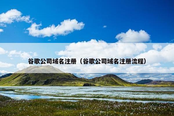 谷歌公司域名注册（谷歌公司域名注册流程）