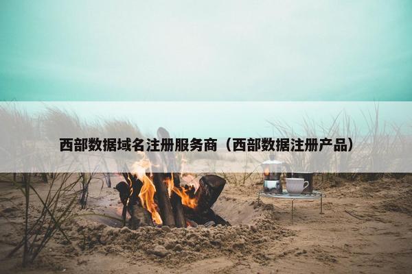 西部数据域名注册服务商（西部数据注册产品）