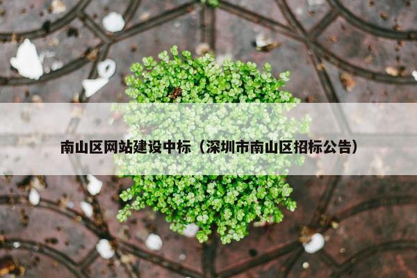 南山区网站建设中标（深圳市南山区招标公告）