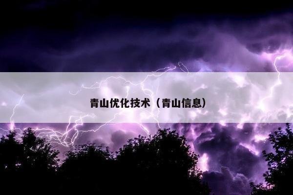 青山优化技术（青山信息）