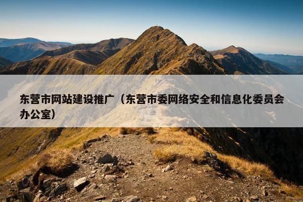 东营市网站建设推广（东营市委网络安全和信息化委员会办公室）