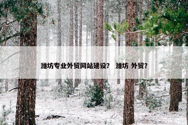 潍坊专业外贸网站建设？ 潍坊 外贸？