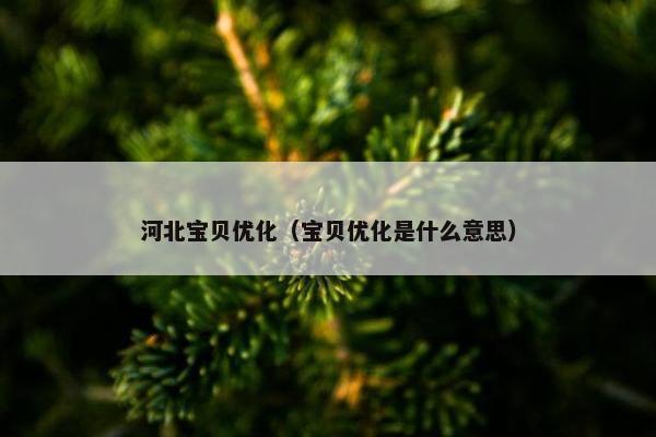 河北宝贝优化（宝贝优化是什么意思）