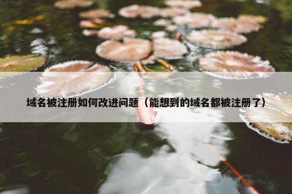 域名被注册如何改进问题（能想到的域名都被注册了）