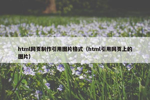 html网页制作引用图片格式（html引用网页上的图片）