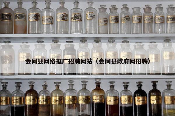 会同县网络推广招聘网站（会同县政府网招聘）