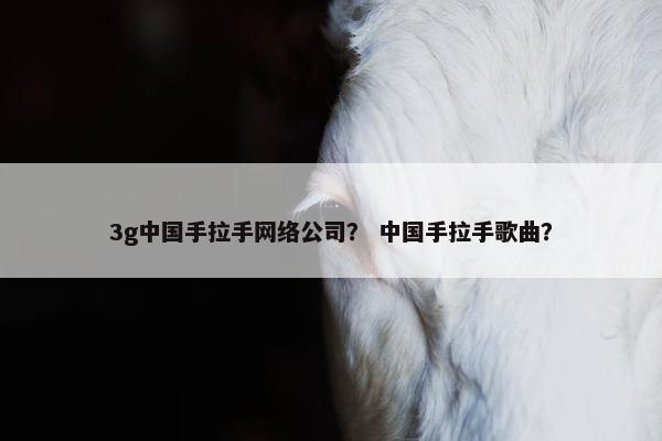3g中国手拉手网络公司？ 中国手拉手歌曲？