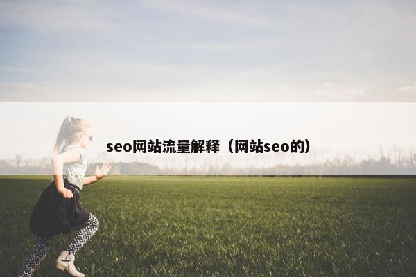 seo网站流量解释（网站seo的）