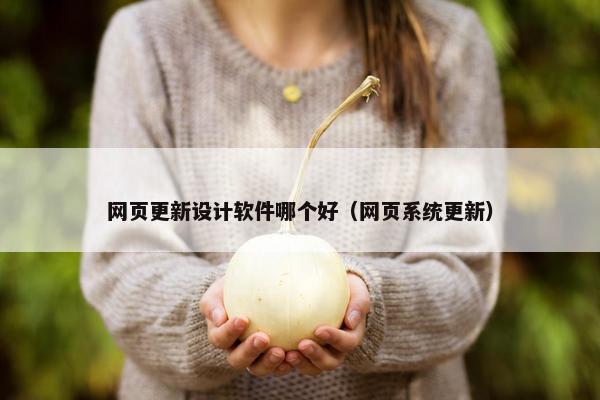 网页更新设计软件哪个好（网页系统更新）