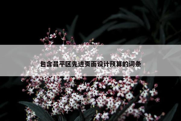 包含昌平区先进页面设计预算的词条