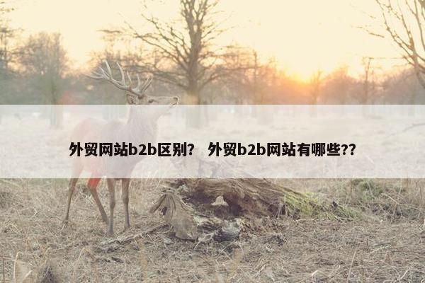 外贸网站b2b区别？ 外贸b2b网站有哪些?？