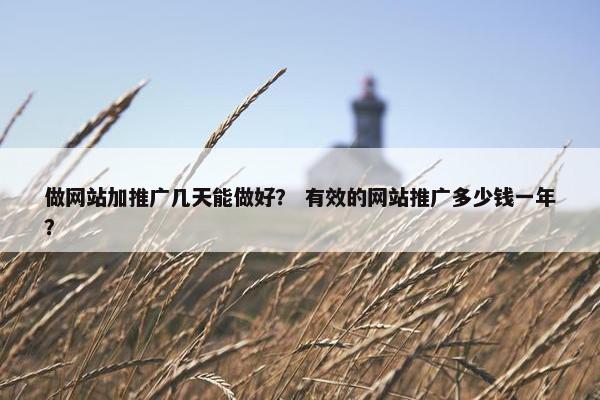 做网站加推广几天能做好？ 有效的网站推广多少钱一年？