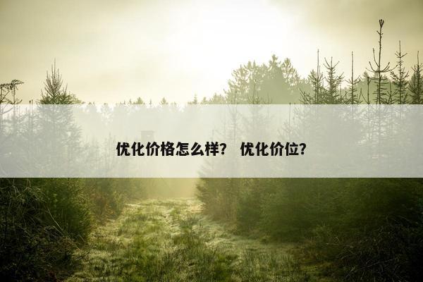 优化价格怎么样？ 优化价位？