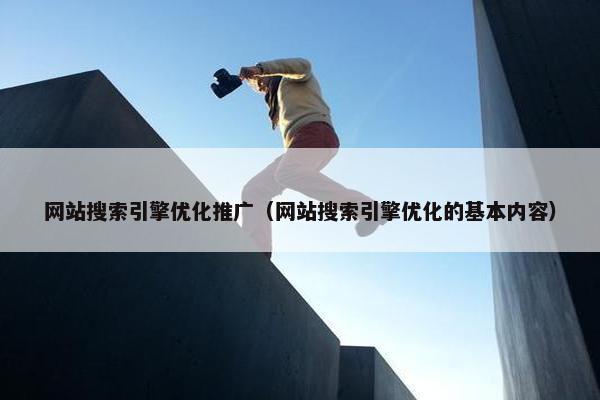 网站搜索引擎优化推广（网站搜索引擎优化的基本内容）