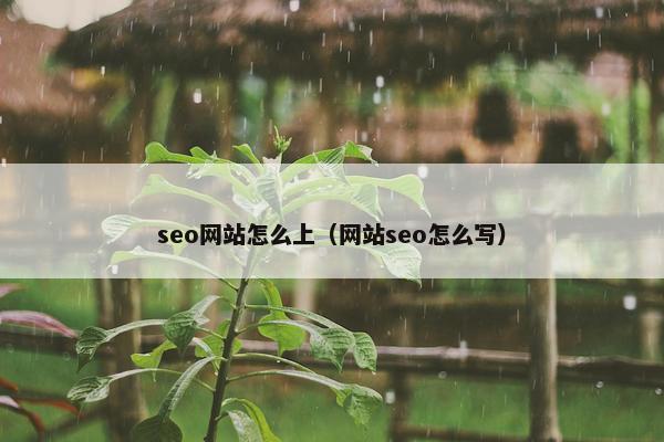 seo网站怎么上（网站seo怎么写）
