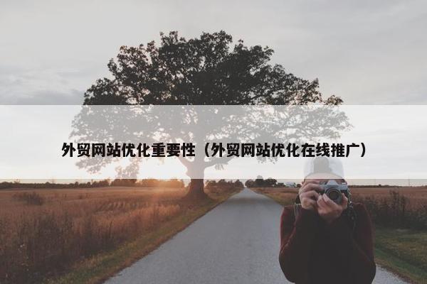 外贸网站优化重要性（外贸网站优化在线推广）