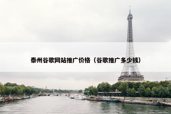 泰州谷歌网站推广价格（谷歌推广多少钱）